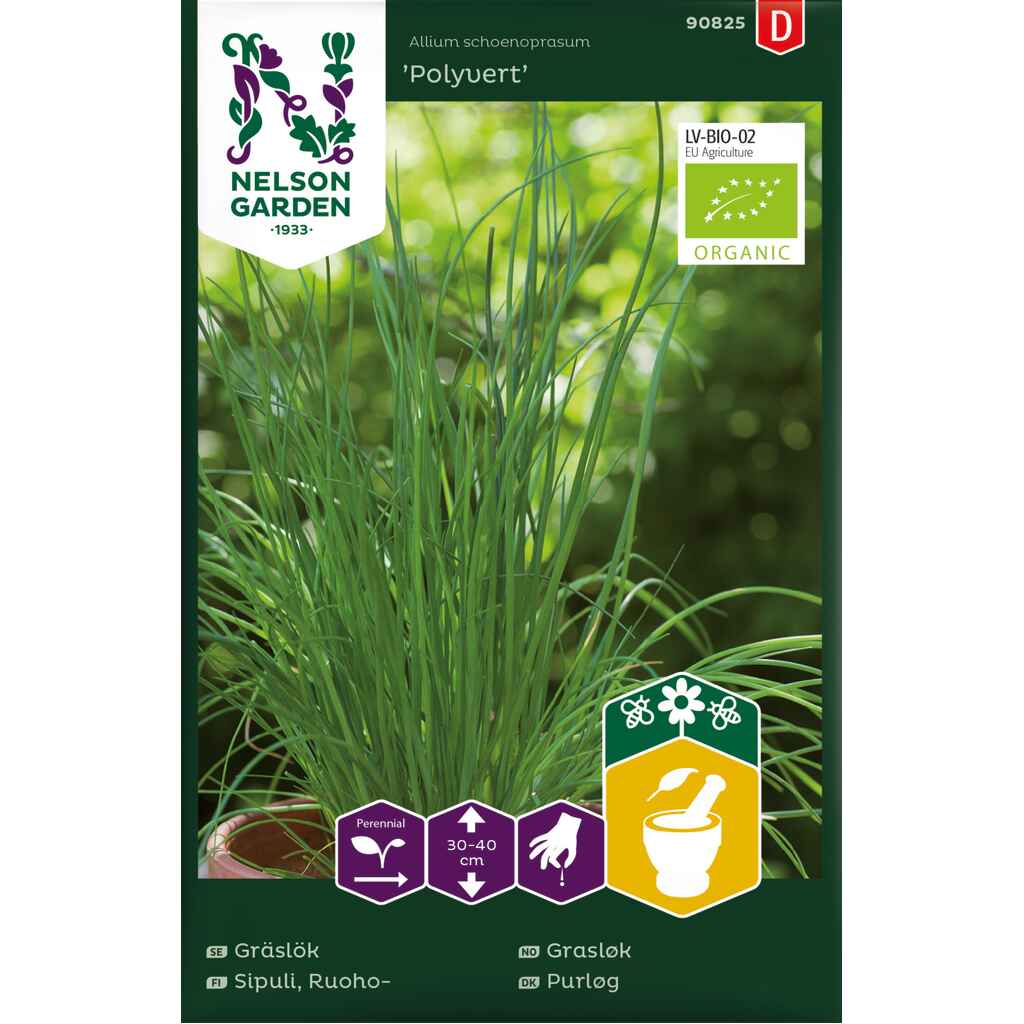 Ruohosipuli 'Polyvert' luomu