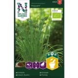 Ruohosipuli, 'Polyvert', luomu