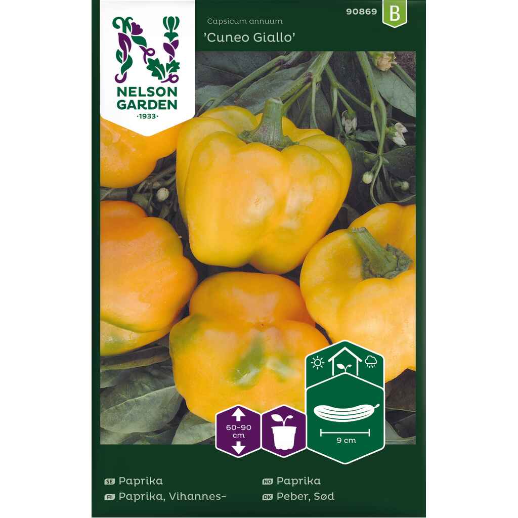 vihannespaprika 'Cuneo Giallo'