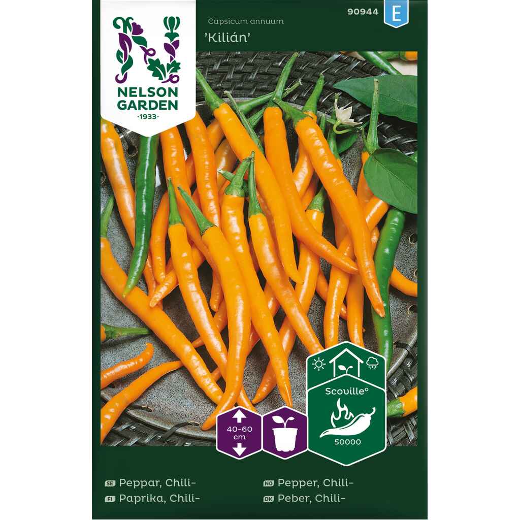 Chilipaprika 'Kilian'