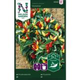 Koristechili, 'Victoria'