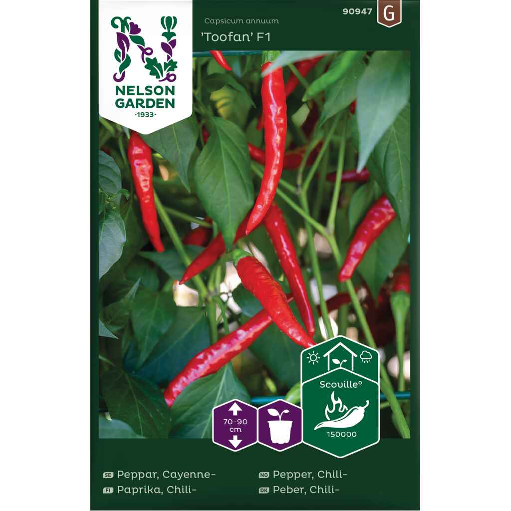 Chilipaprika 'Toofan' F1