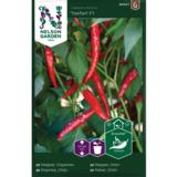 Chilipaprika, 'Toofan' F1