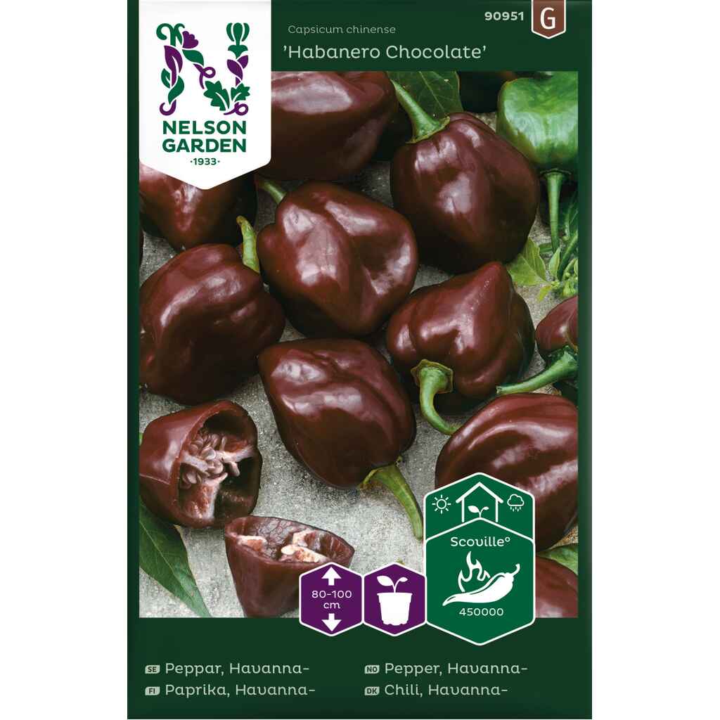 Havannapaprika 'Habanero Chocolate'