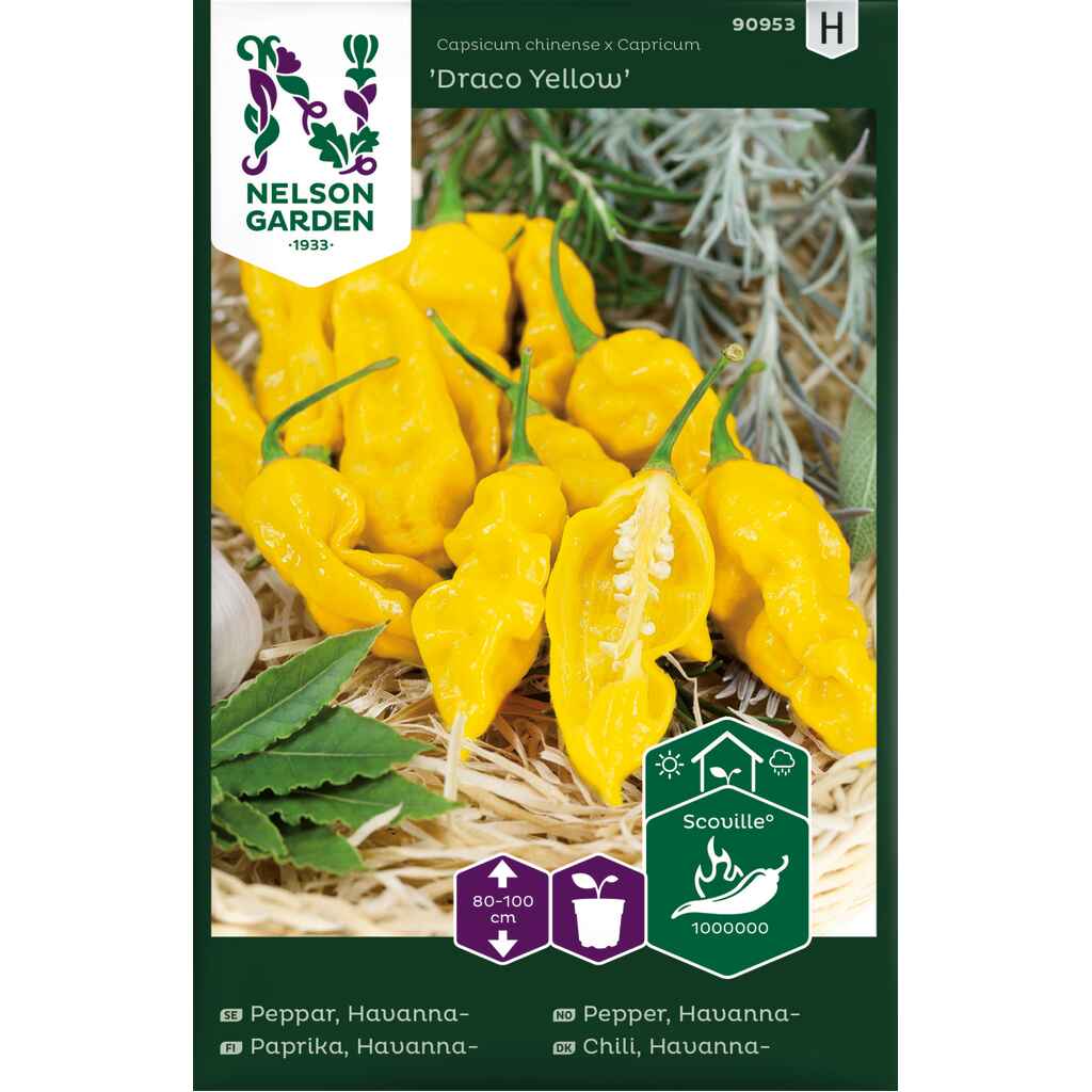 Havannapaprika 'Draco Yellow'