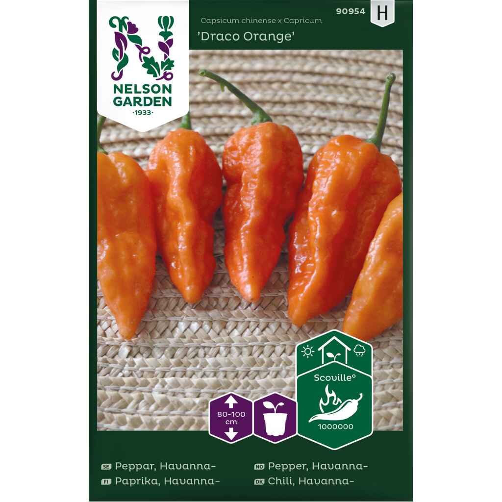 Havannapaprika 'Draco Orange'