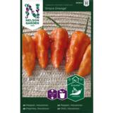 Havannapaprika, 'Draco Orange'