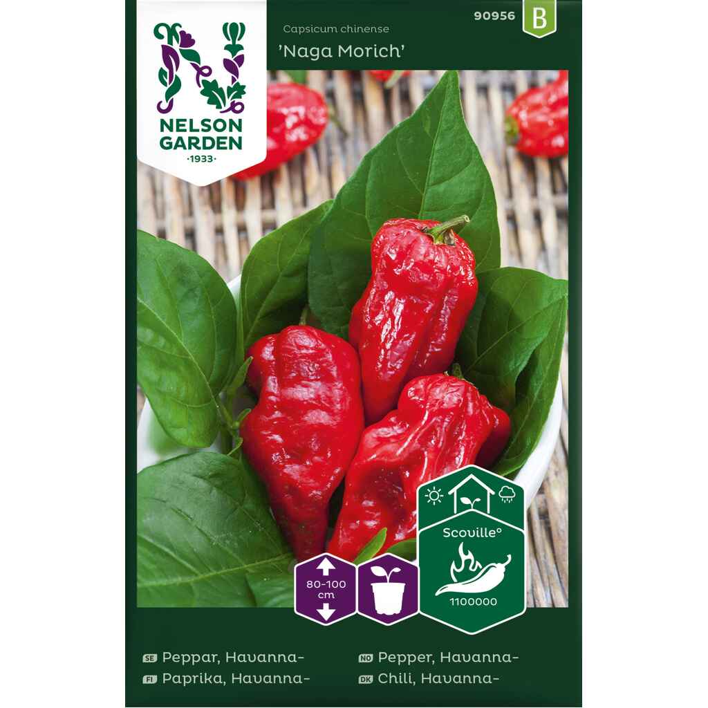 Havannapaprika 'Naga Morich'