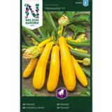 Kesäkurpitsa, 'Yellowstar' F1