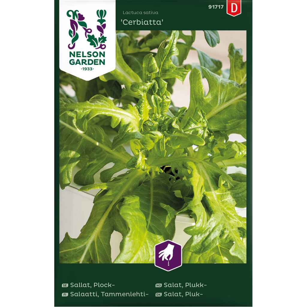 Tammenlehtisalaatti 'Cerbiatta'