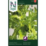 Tammenlehtisalaatti, 'Cerbiatta'