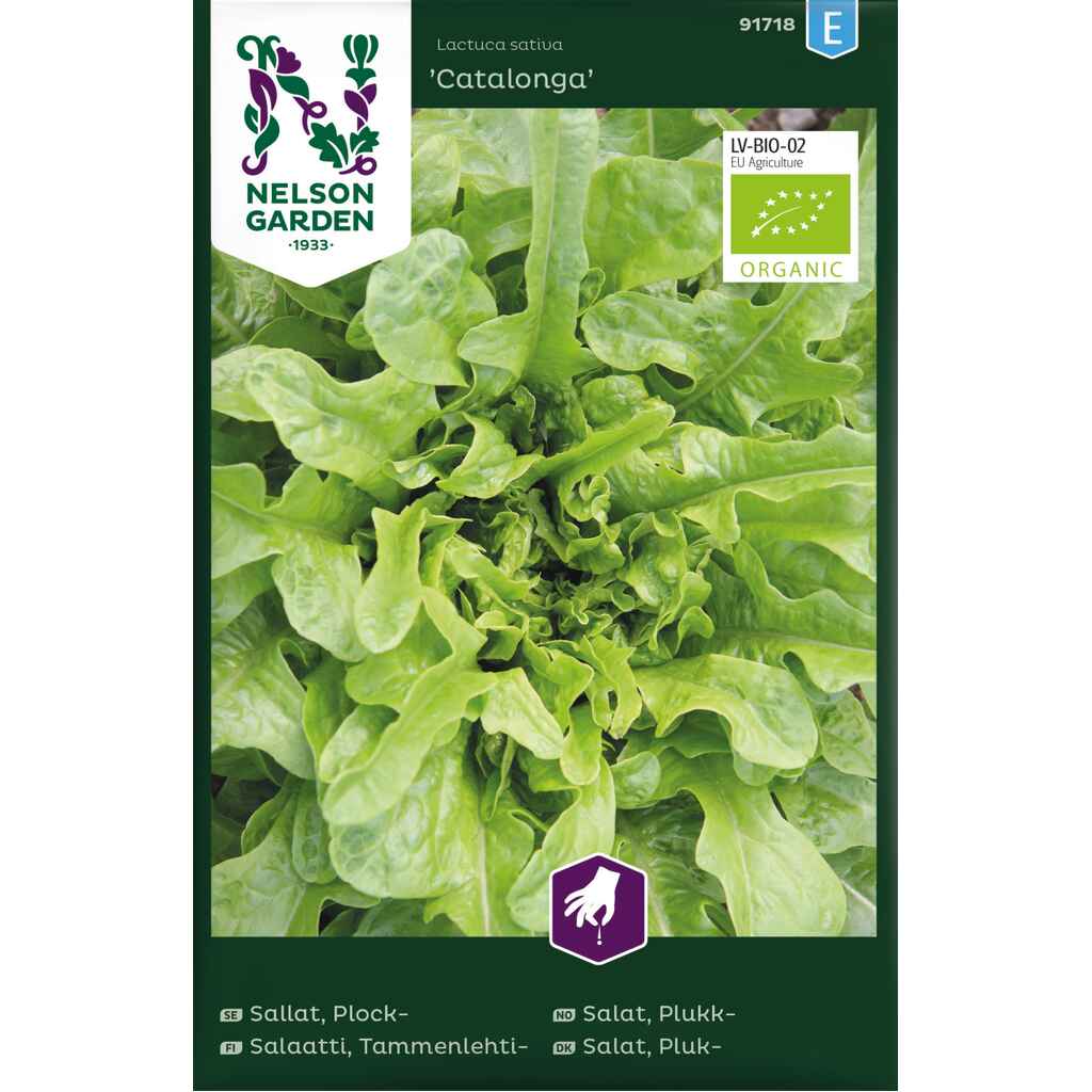 Tammenlehtisalaatti 'Catalonga' luomu