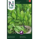 Salaattisikuri, 'Sangria'