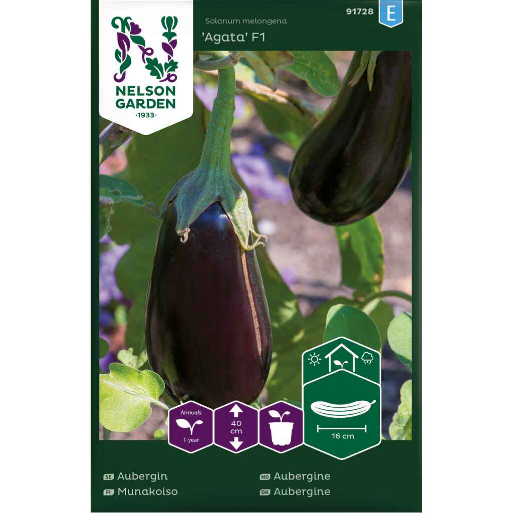 Munakoiso 'Agata' F1