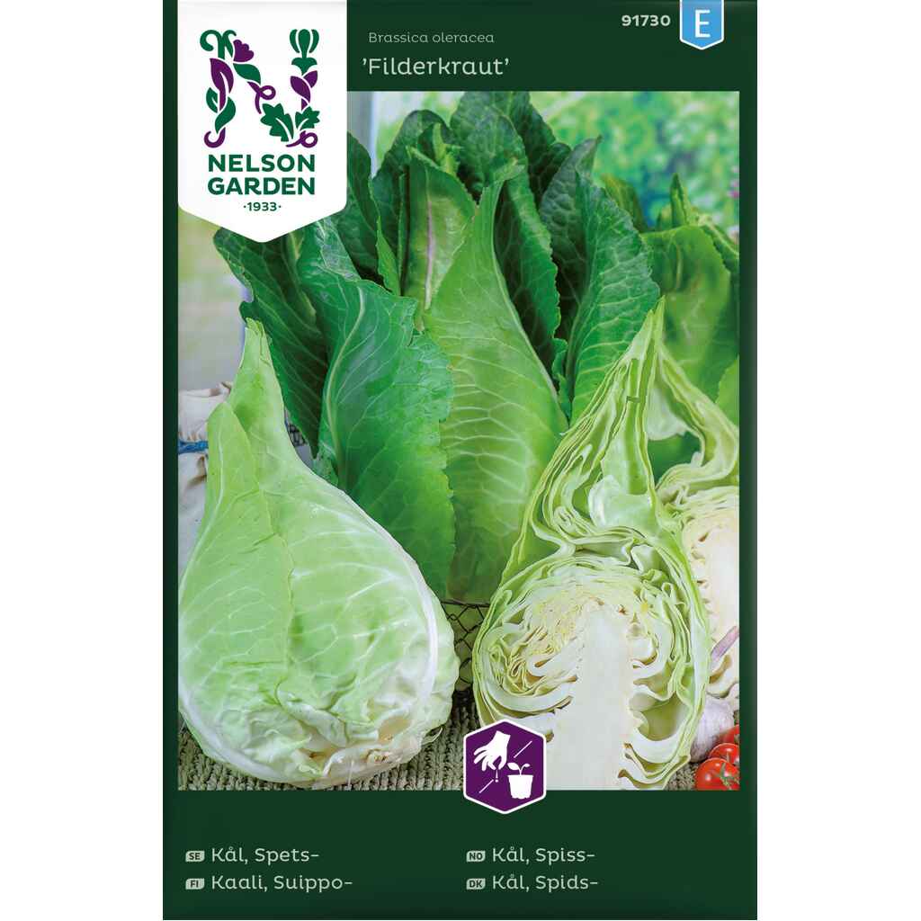 Suippokaali 'Filderkraut'