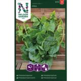 Malabarinpinaatti 'Alba'