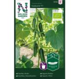 Kasvihuonekurkku, 'Kaikura' F1, luomu