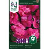 Ahkeraliisa, 'Athena Bright Purple' F1