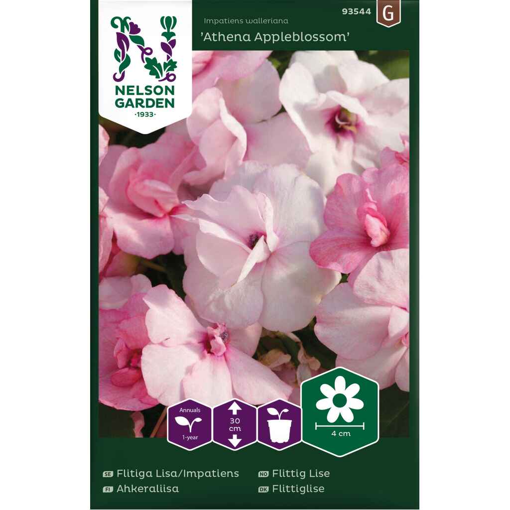 Ahkeraliisa 'Athena Appleblossom' F1