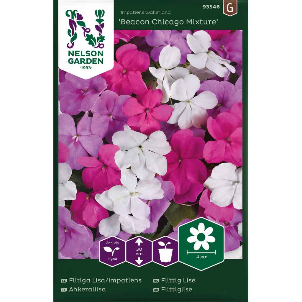 Ahkeraliisa 'Beacon Chigaco Mixture' F1