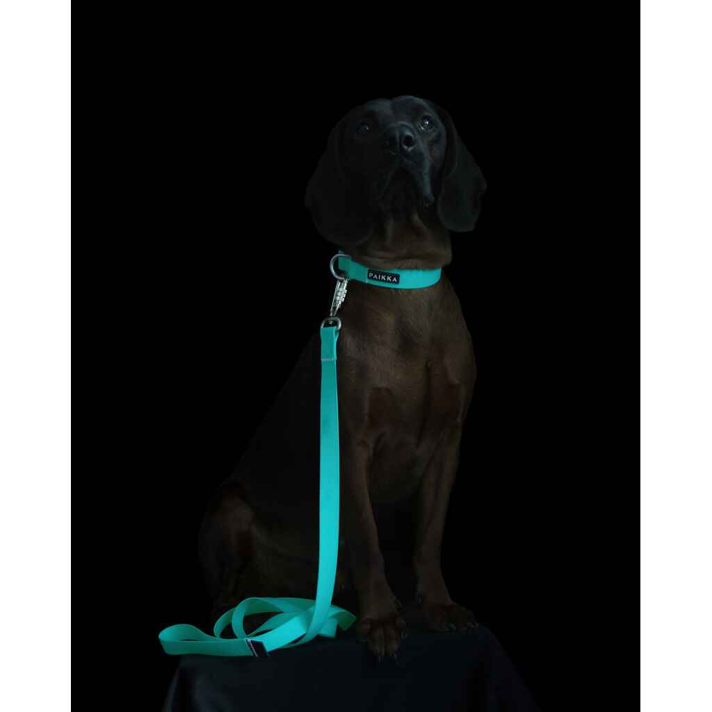 Talutin Glow Aqua 1,5 cm x 180 cm
