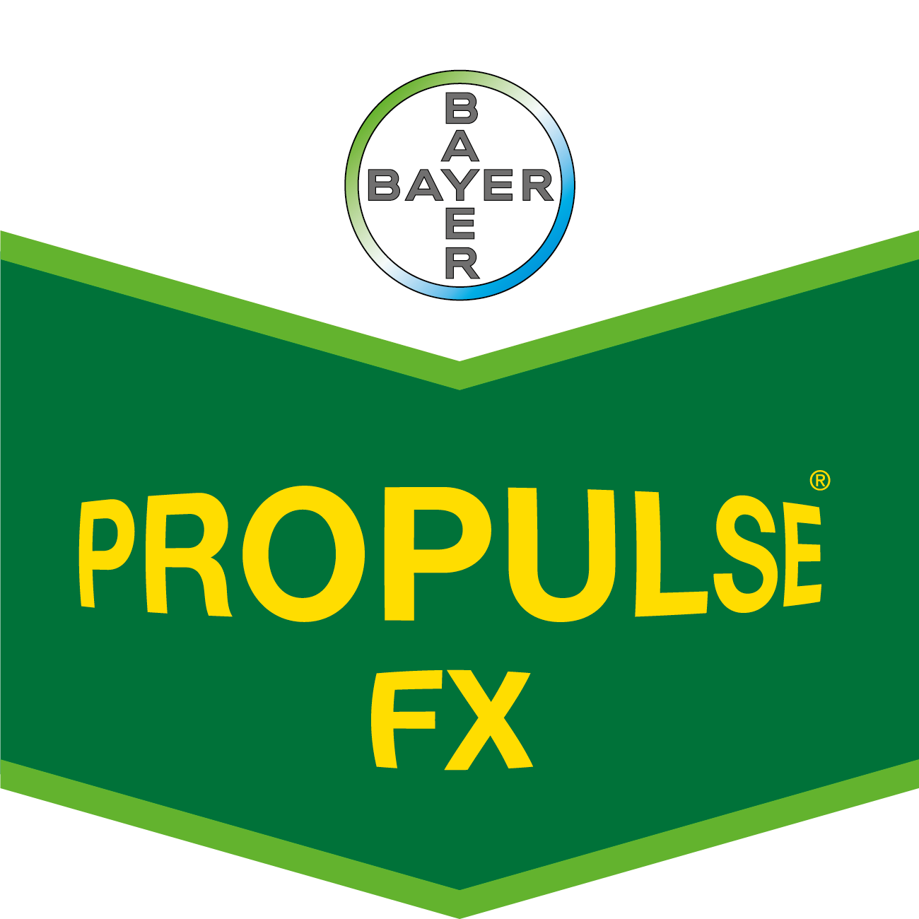 Propulse FX 5 l + 5 l
