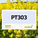 PT303 hybridi syysrapsi