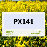 PX141 hybridi syysrapsi