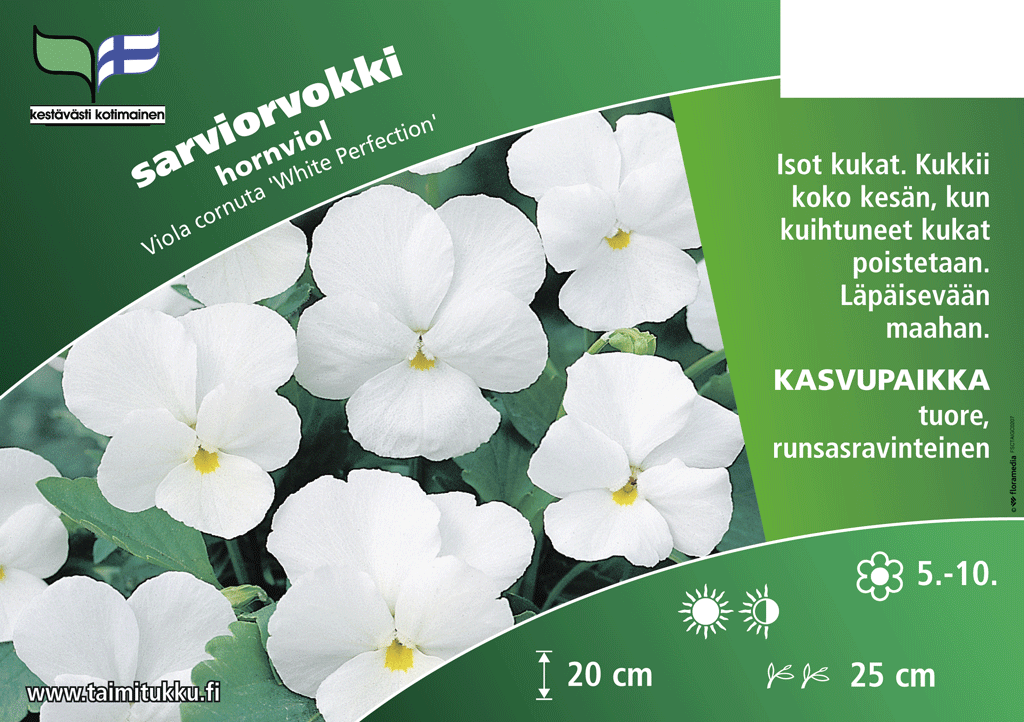 Sarviorvokki valkoinen White Perfection