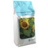 Kääpiöauringonkukka Sunspot 1 kg