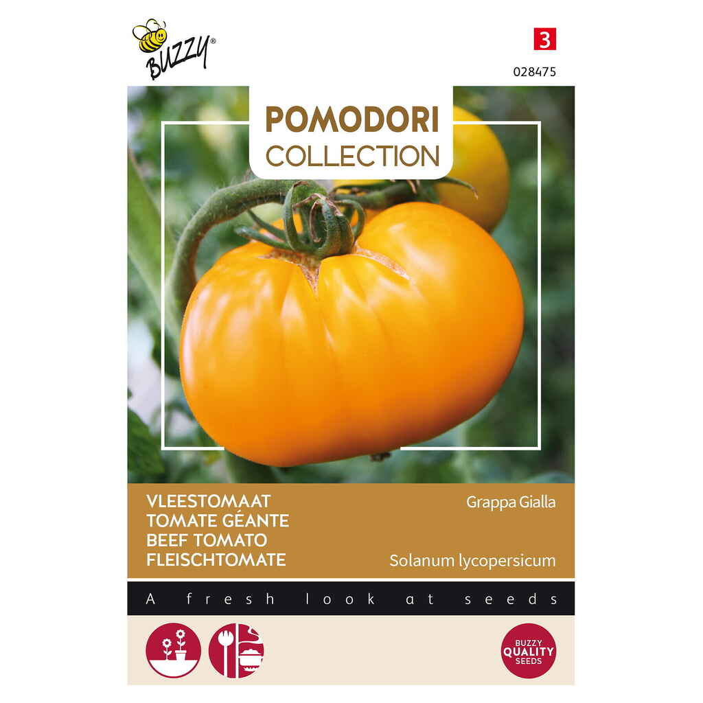 Pihvitomaatti, Grappa Gialla/Brandywine Yellow