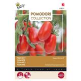 Tomaatti, 'Super Roma' Vf
