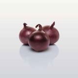 Punasipuli Red Baron