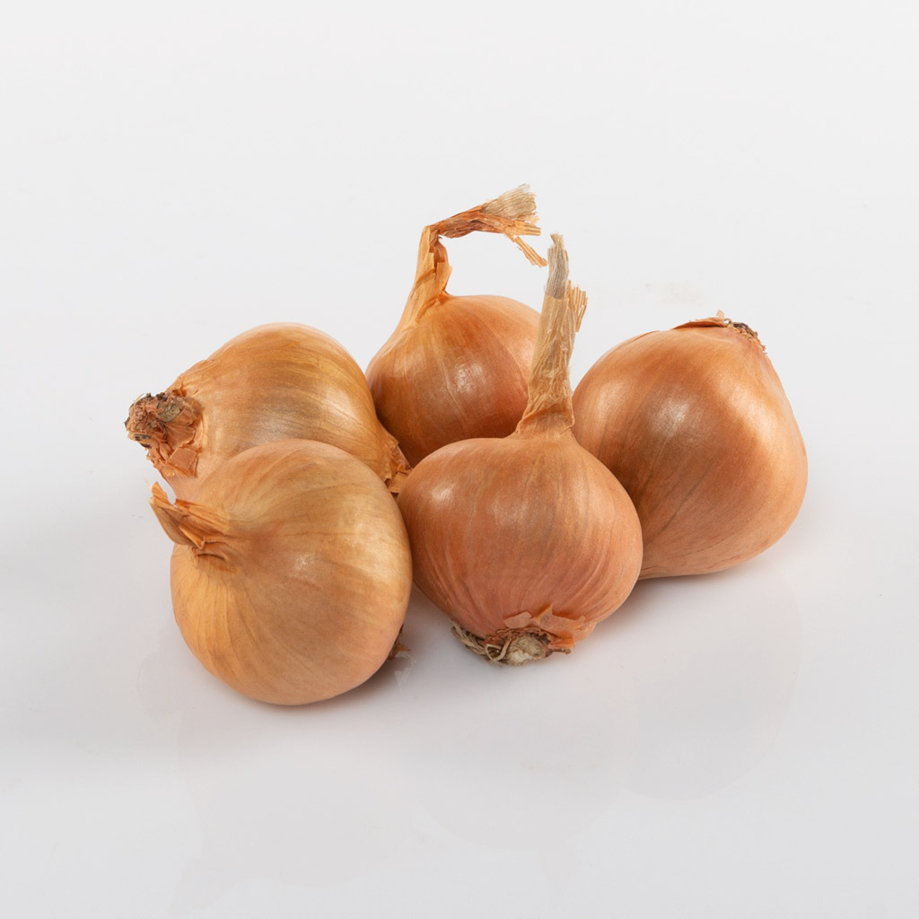 Salottisipuli Golden Gourmet