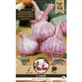 Valkosipuli Sultop 3 kpl