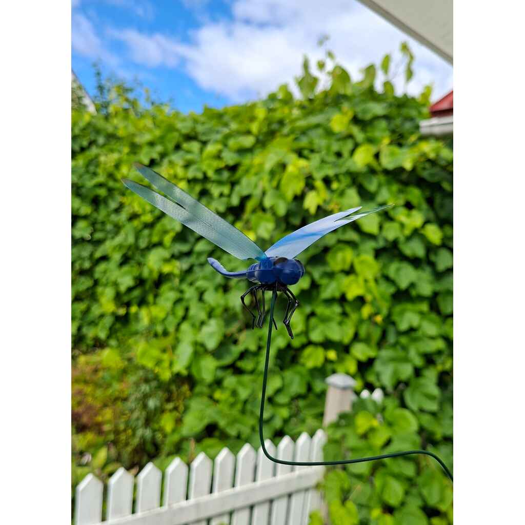 Paarmapelätin sudenkorento