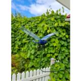 Paarmapelätin sudenkorento