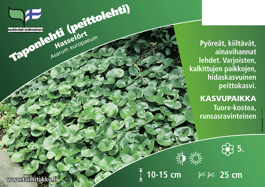 Taponlehti