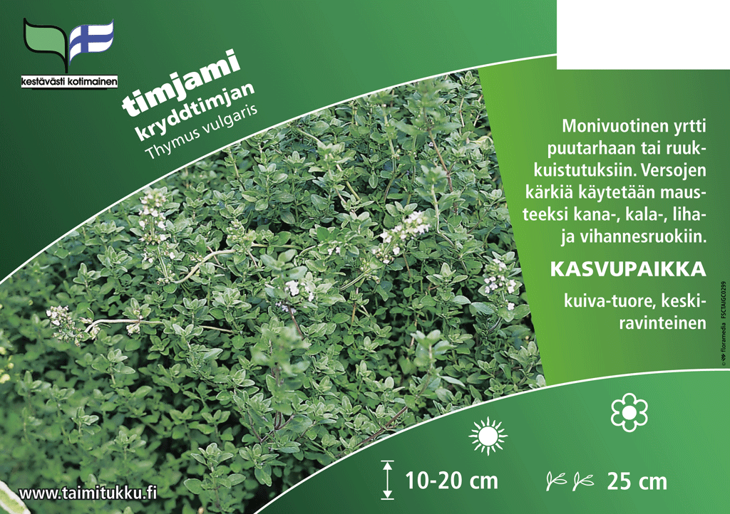 Yrtti Timjami Thymus vulgaris
