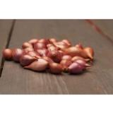 Sipuli Pink Rosanna 0,5 kg