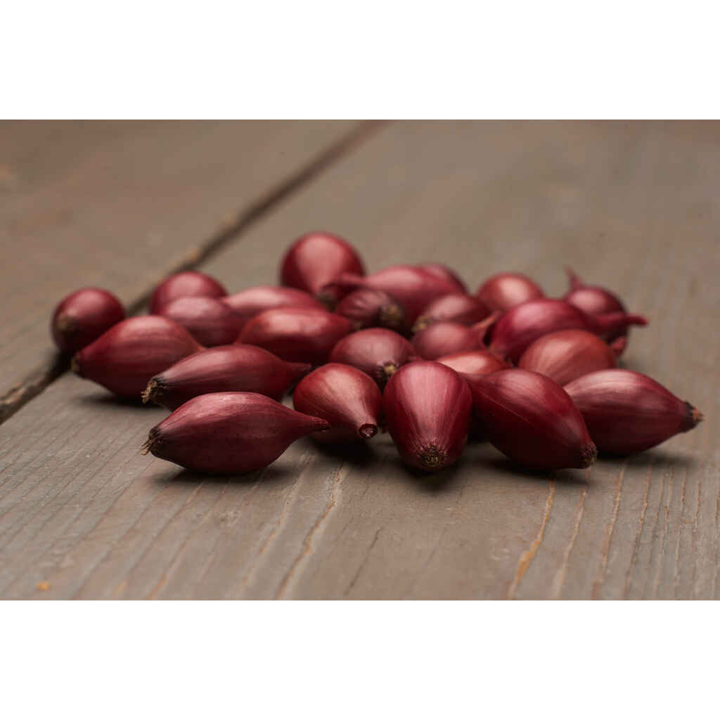 punasipuli red baron