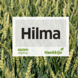 Hilma syysvehnä kemiallisesti peitattu 800 kg