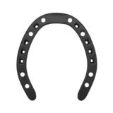 Kerckhaert Legend Flat takakenkä 16x6 8xM8 pari