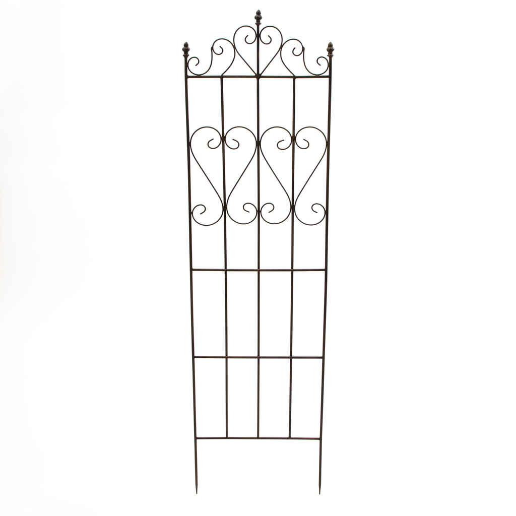 Köynnöstuki sydän, korkeus 149,5 cm