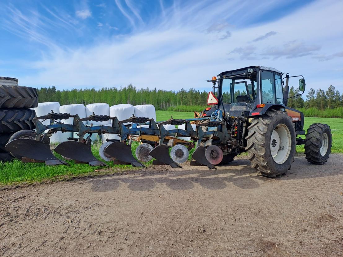 Överum Sarka-aurat 1x5 Ct 487g